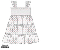 Red/Blue Swiss Dot Dress